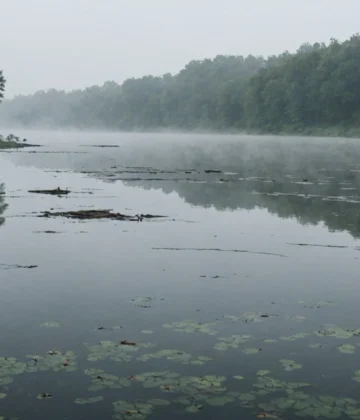 Quand_l_eau_pleure:_révélations_choc_sur_la_pollution_invisible_de_nos_rivières